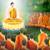 Magha Puja Day 2015, March 4th, Offering Lights to Brighten Your Life