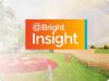 @Bright Insight 13/11/2563